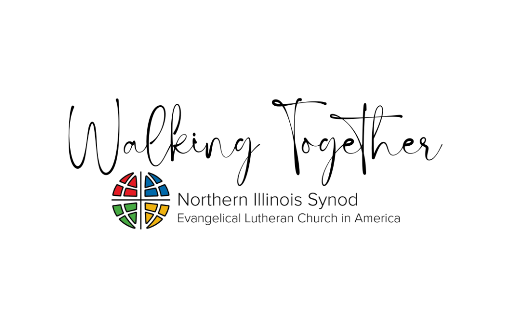 Walking Together with the Synod